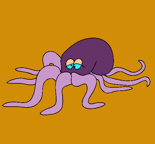 Pulpo