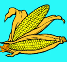 Dibujo Mazorca de maíz pintado por hernandez