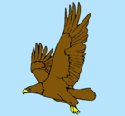 Dibujo Águila volando pintado por ulises
