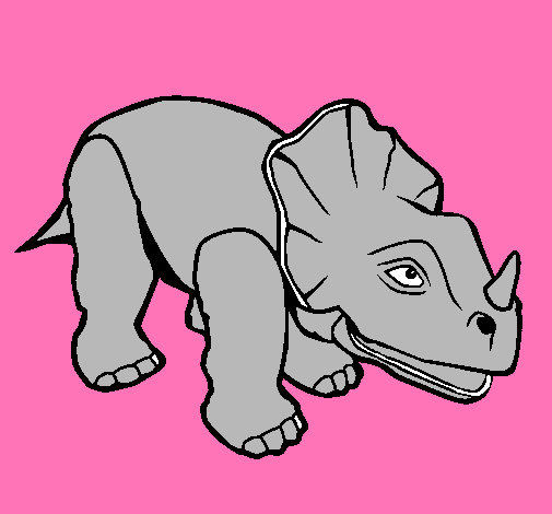 Triceratops II