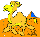 Dibujo Camello pintado por samy