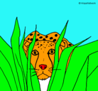 Dibujo Guepardo pintado por tigre