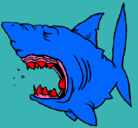 Dibujo Tiburón pintado por kevinalexander