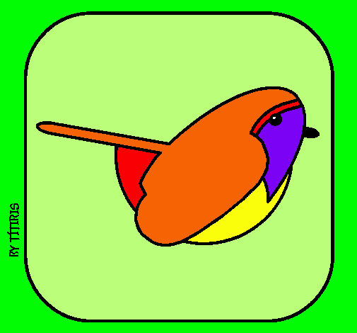 Pájaro II