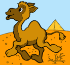 Dibujo Camello pintado por maytecorte