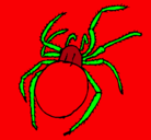 Dibujo Araña venenosa pintado por nanzooooooooooo