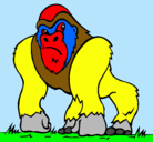 Dibujo Gorila pintado por kiryataim