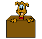 Dibujo Perro dentro de caja pintado por acustin
