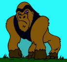 Dibujo Gorila pintado por kari
