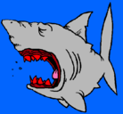 Dibujo Tiburón pintado por steven