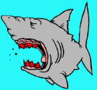 Dibujo Tiburón pintado por NILS