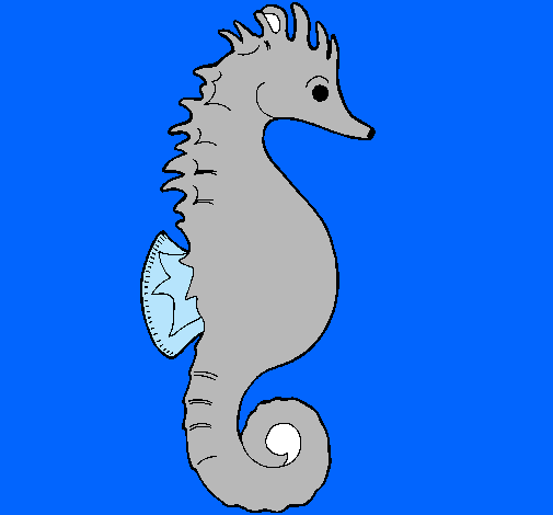 Caballito de mar