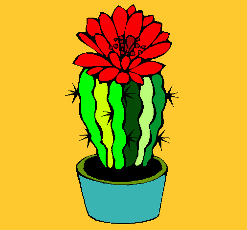 Cactus con flor