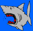 Dibujo Tiburón pintado por dayana