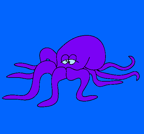 Pulpo