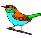 Dibujo Pájaro silvestre pintado por nestor