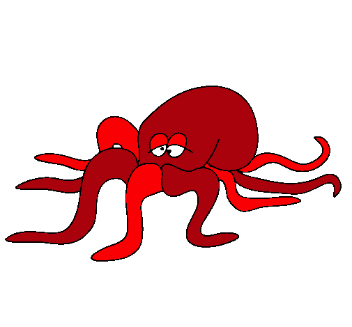 Pulpo