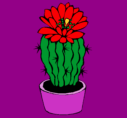 Cactus con flor