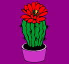 Dibujo Cactus con flor pintado por tttikki 