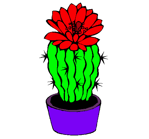 Cactus con flor