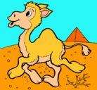Dibujo Camello pintado por goli