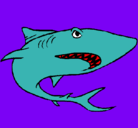 Dibujo Tiburón pintado por felipe 