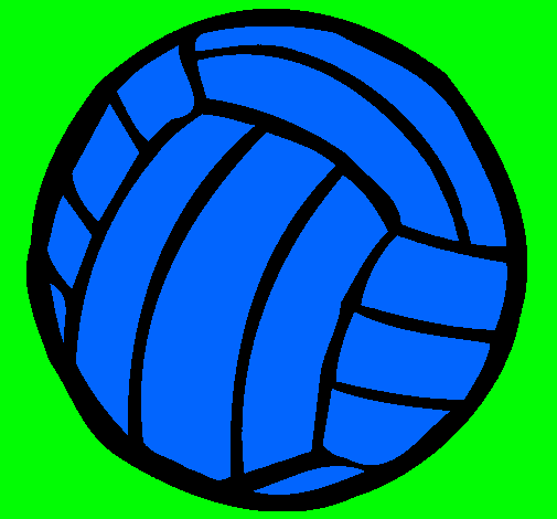 Pelota de voleibol