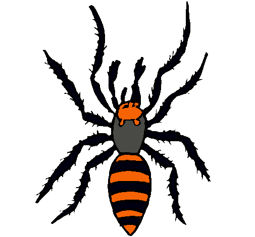 Araña tigre