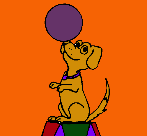 Perro de circo