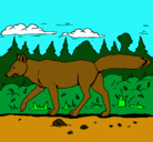 Dibujo Coyote pintado por gadielx