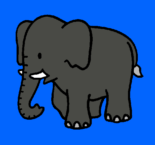 Elefante bebe