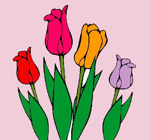 Tulipanes