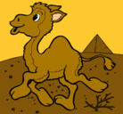 Dibujo Camello pintado por kobu