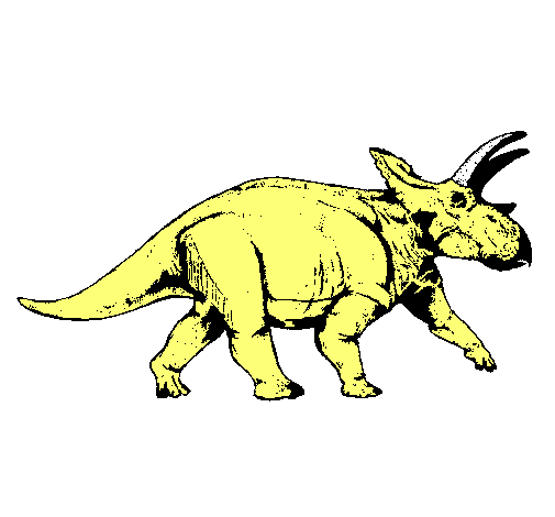 Triceratops