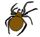 Dibujo Araña venenosa pintado por gaeljorge