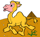Dibujo Camello pintado por mayita