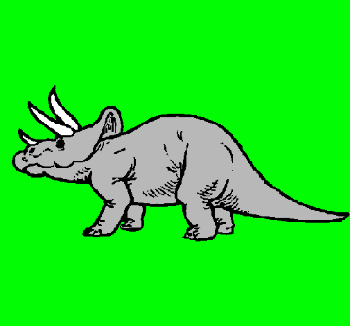 Triceratops