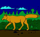 Dibujo Coyote pintado por zorron