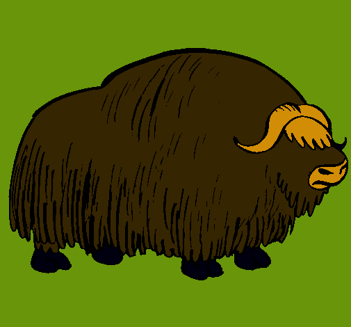 Bisonte