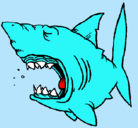 Dibujo Tiburón pintado por jorges