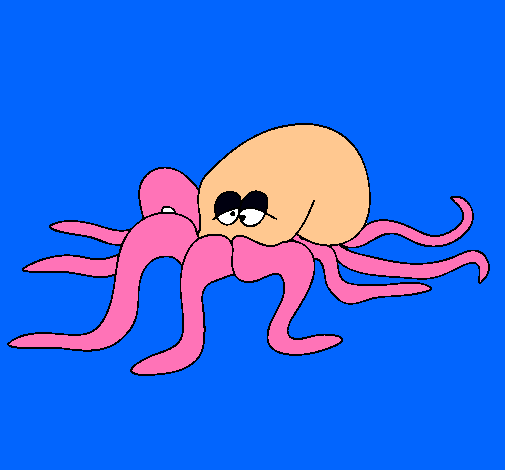 Pulpo