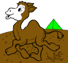 Dibujo Camello pintado por luisbenjamin