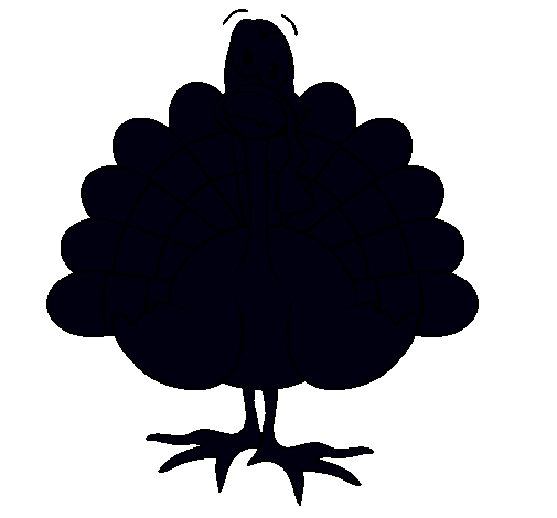 Pavo