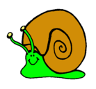 Dibujo Caracol  pintado por samir