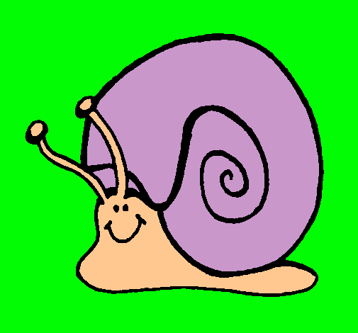 Caracol 