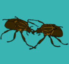 Dibujo Escarabajos pintado por uuanma