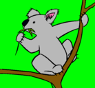 Dibujo Koala pintado por zltzin