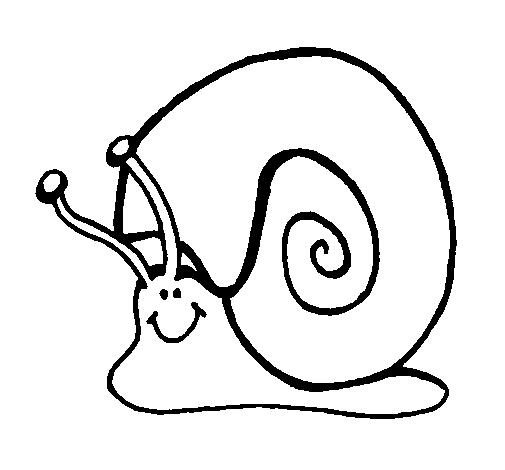 Caracol 