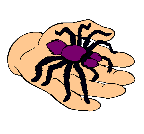 Tarántula