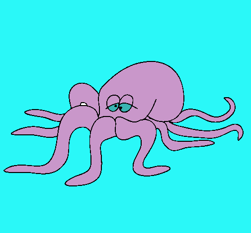 Pulpo